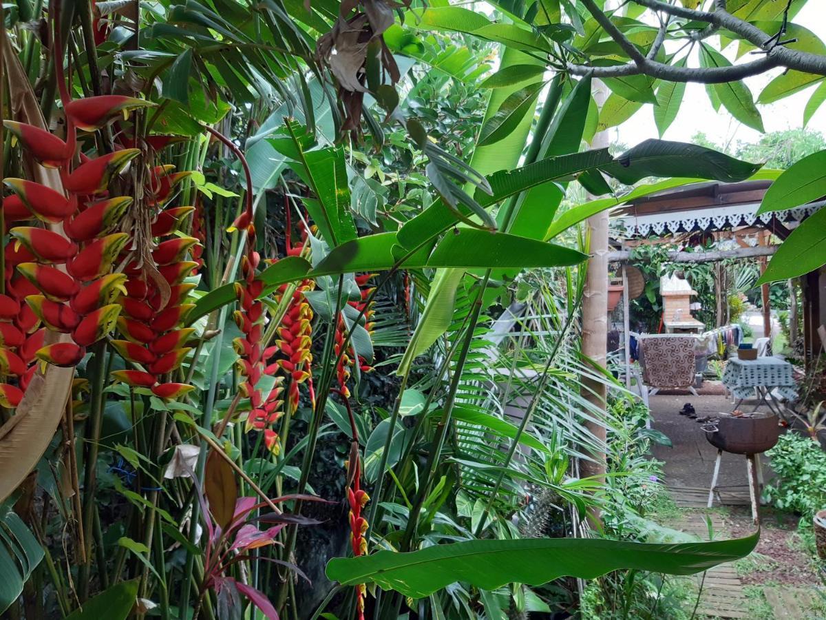 Апартаменты Ti Koin Kreol' Bras-Panon Экстерьер фото